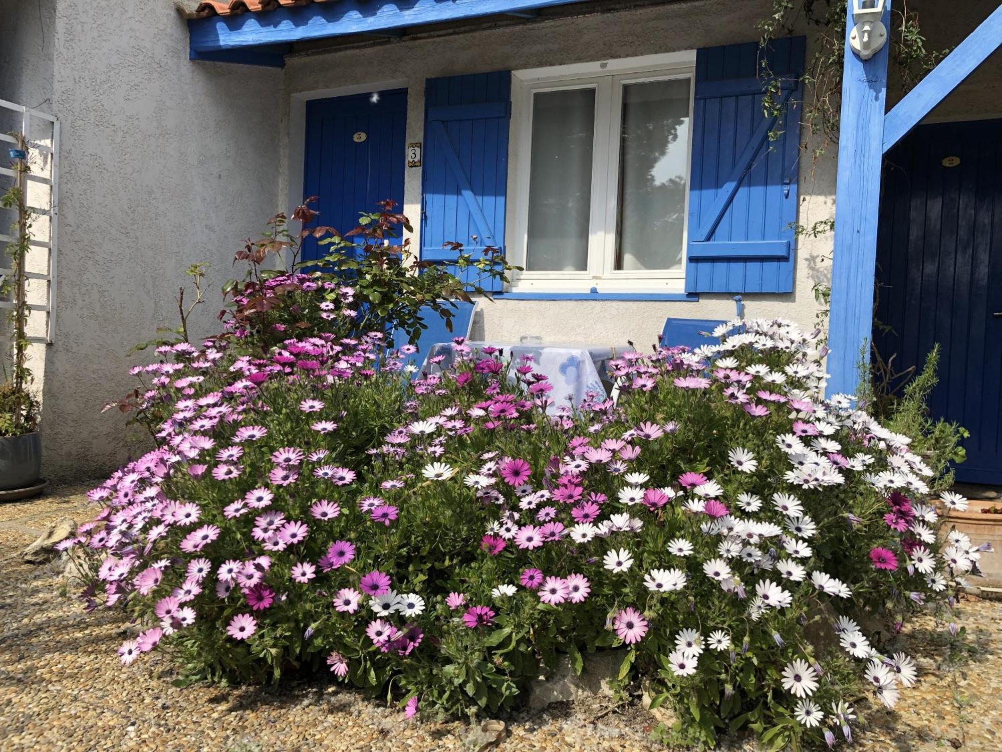 Hotel Des 4 Vents "Esprit Camargue" Aigues-Mortes Eksteriør billede
